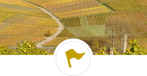 Lagen & Terroir